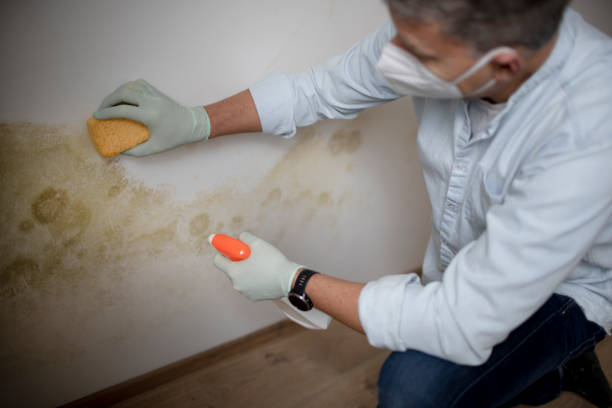 Best Crawl Space Mold Removal  in Mesquite, NV